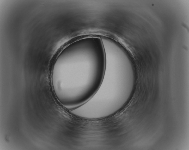 X0000091881312200709051007