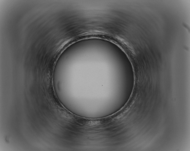 X0000091881313200709051007