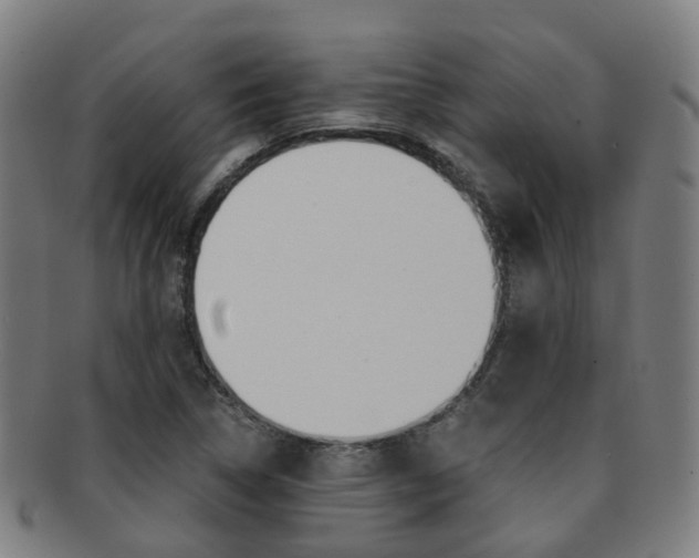 X0000091881314200709051007