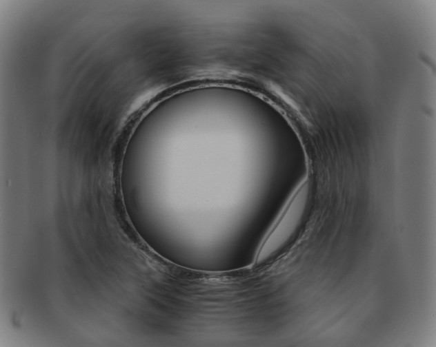 X0000091881315200709051007