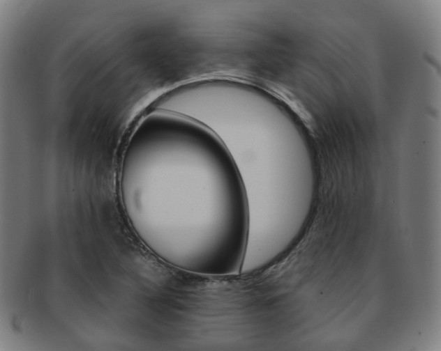 X0000091881316200709051007