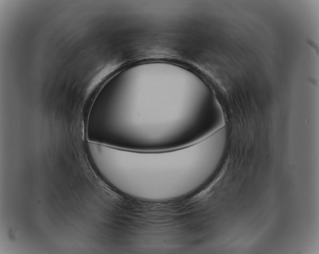 X0000091881317200709051007