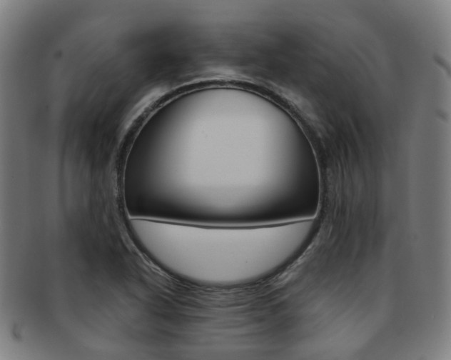 X0000091881318200709051007