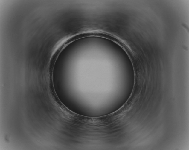 X0000091881319200709051007