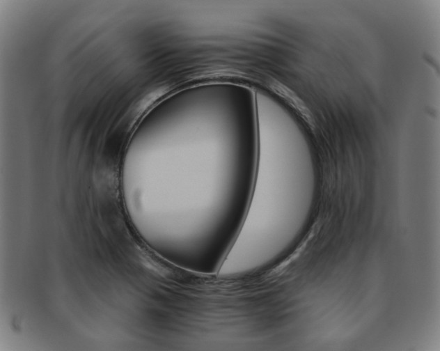 X0000091881321200709051007