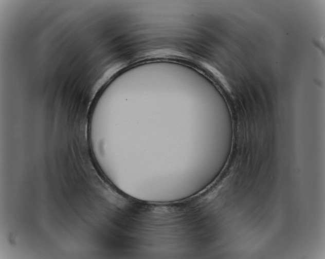 X0000091881322200709051007