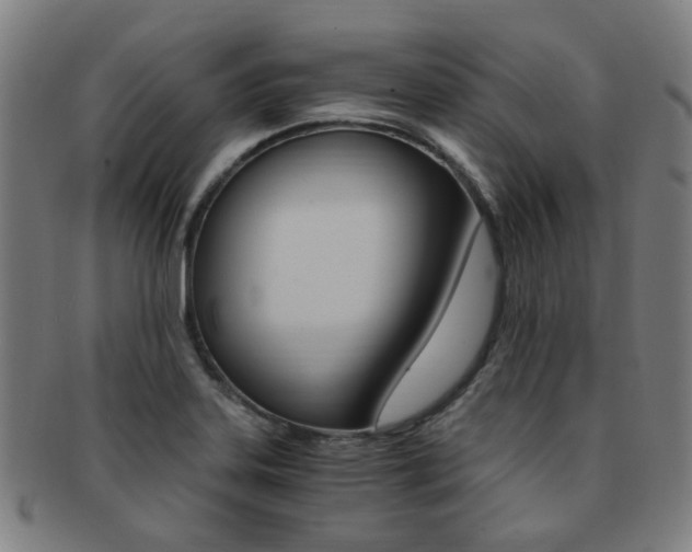 X0000091881323200709051007