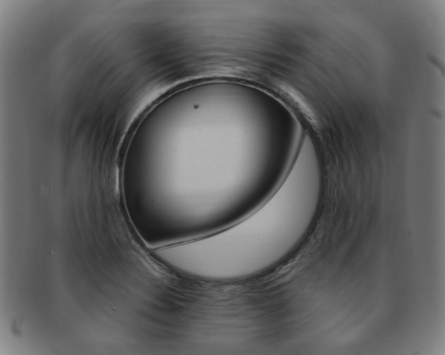 X0000091881324200709051007