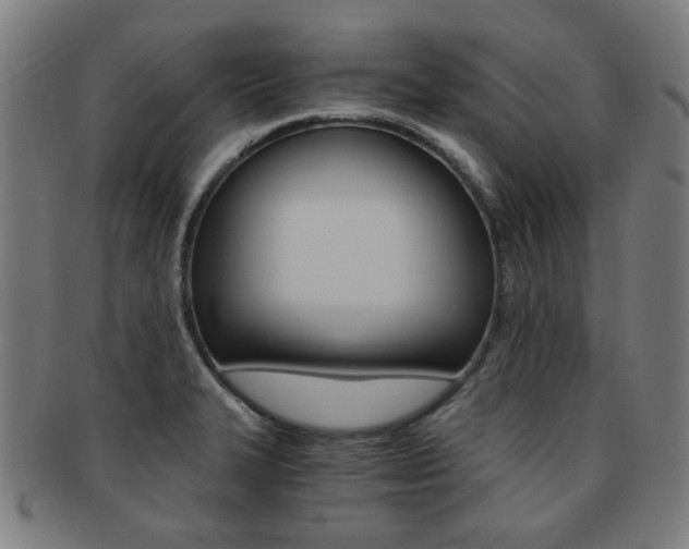X0000091881327200709051007