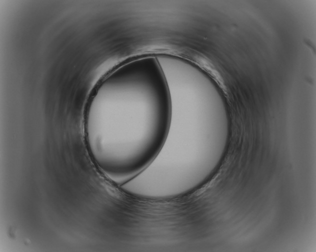 X0000091881328200709051007