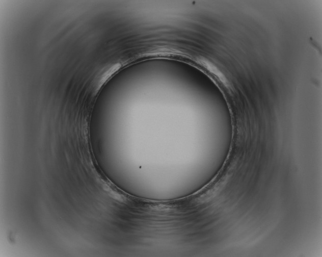 X0000091881329200709051007