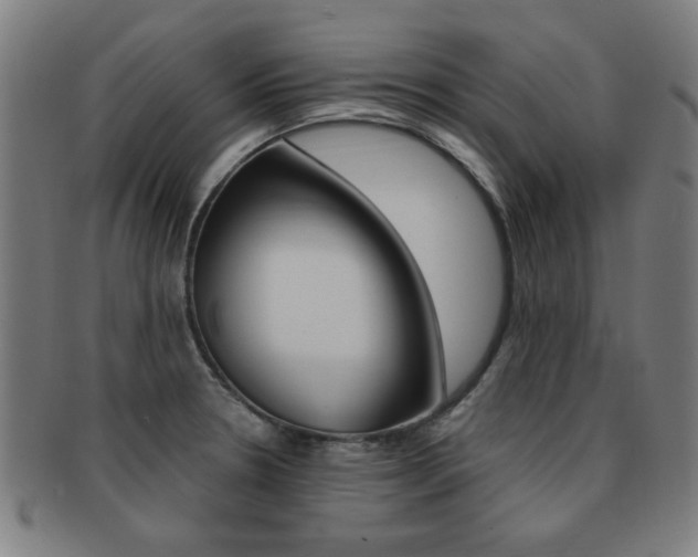 X0000091881330200709051007