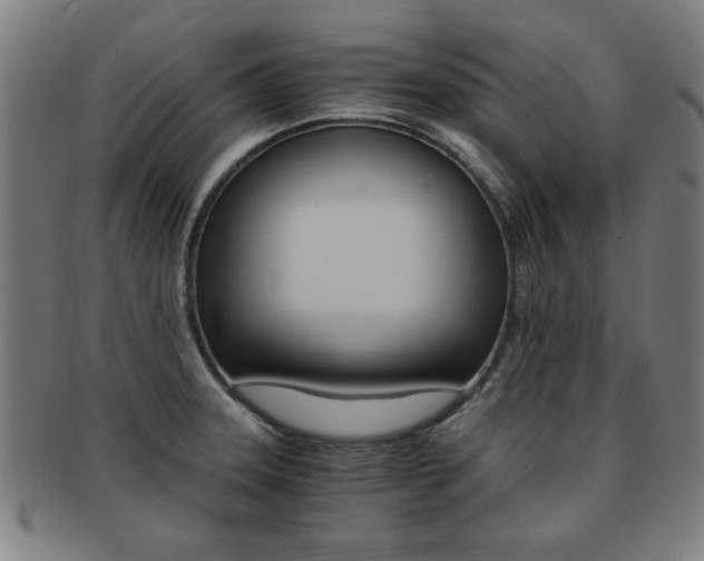X0000091881331200709051007