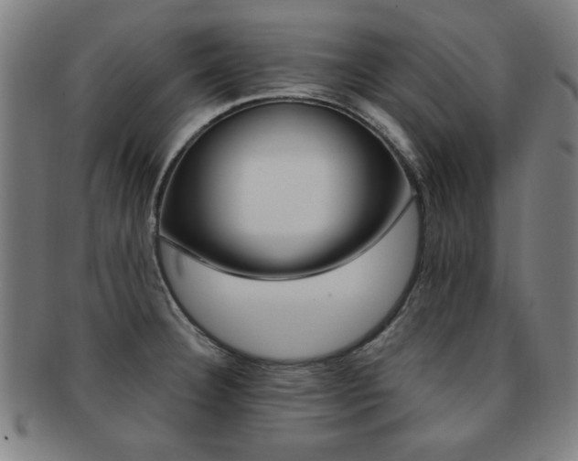 X0000091881332200709051007