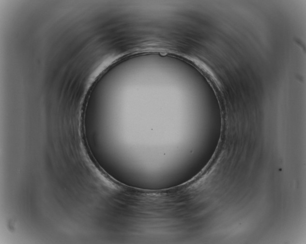 X0000091881333200709051007