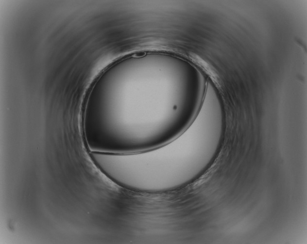 X0000091881334200709051007