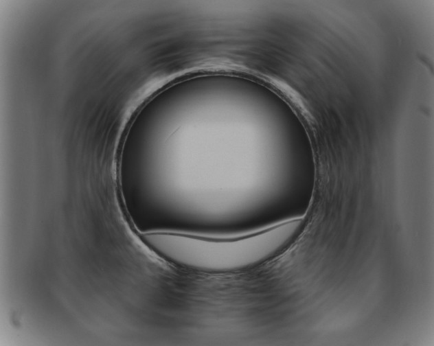X0000091881335200709051007