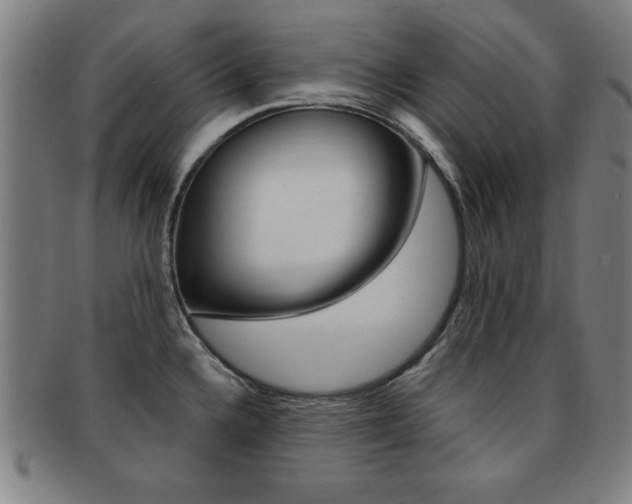 X0000091881336200709051007