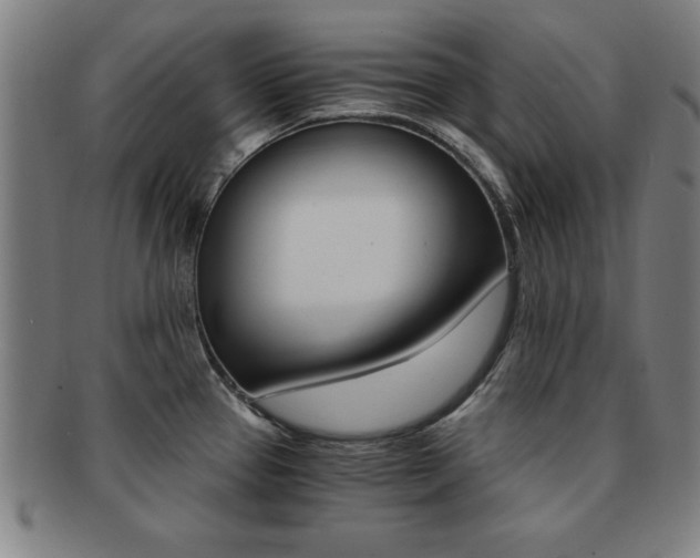 X0000091881337200709051007