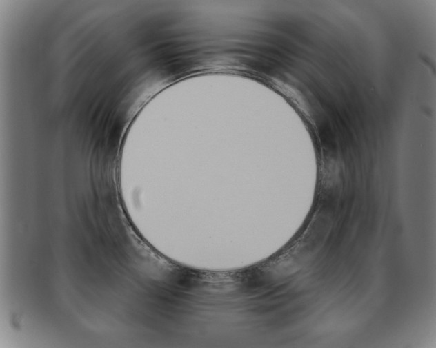 X0000091881338200709051007