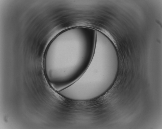 X0000091881339200709051007