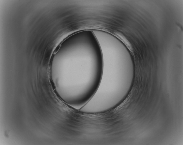 X0000091881340200709051007