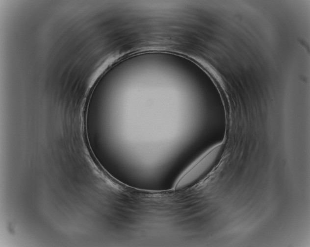 X0000091881341200709051007