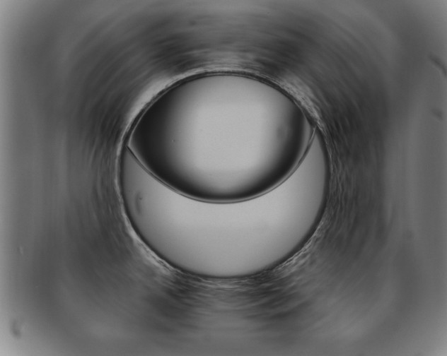 X0000091881342200709051007