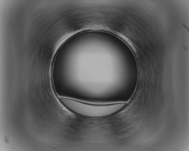 X0000091881343200709051007