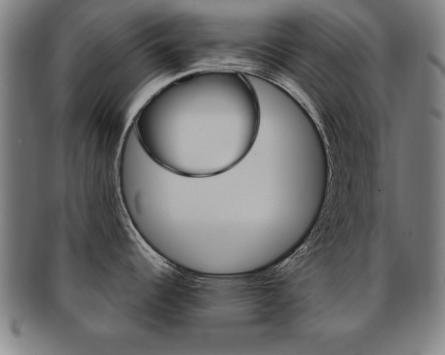 X0000091881344200709051007