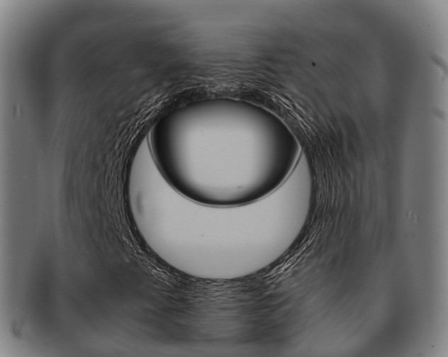 X0000091881345200709051007