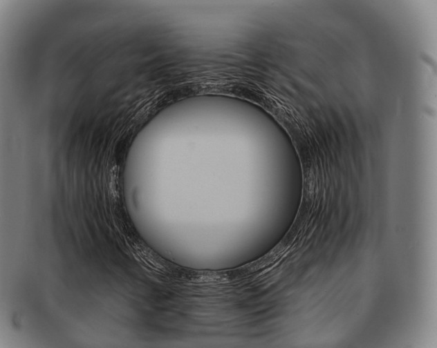X0000091881346200709051007