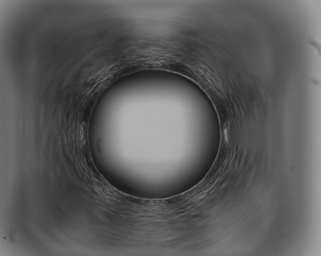 X0000091881347200709051007