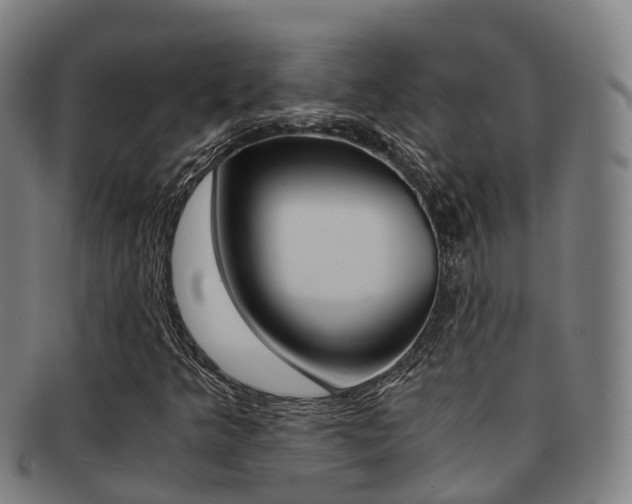 X0000091881349200709051007