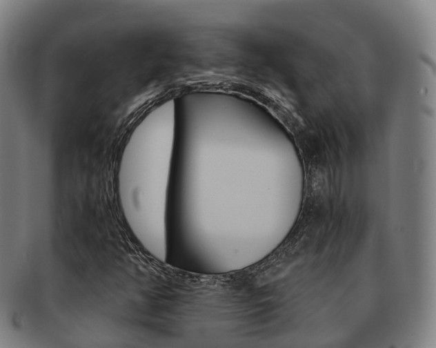X0000091881350200709051007
