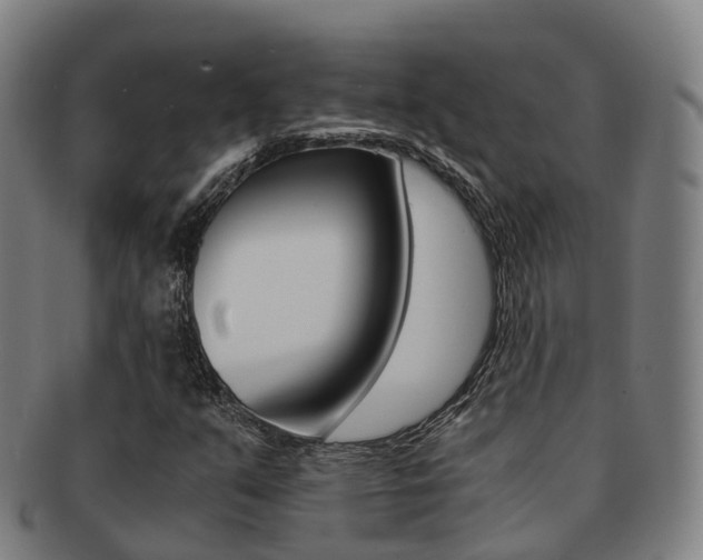 X0000091881351200709051007