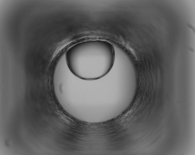 X0000091881352200709051006