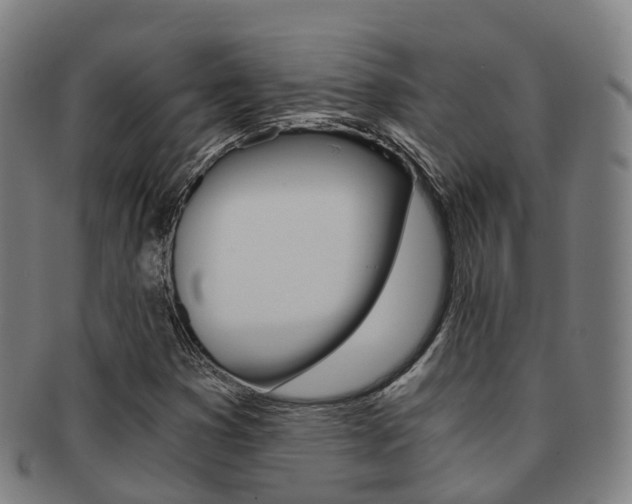 X0000091881353200709051006