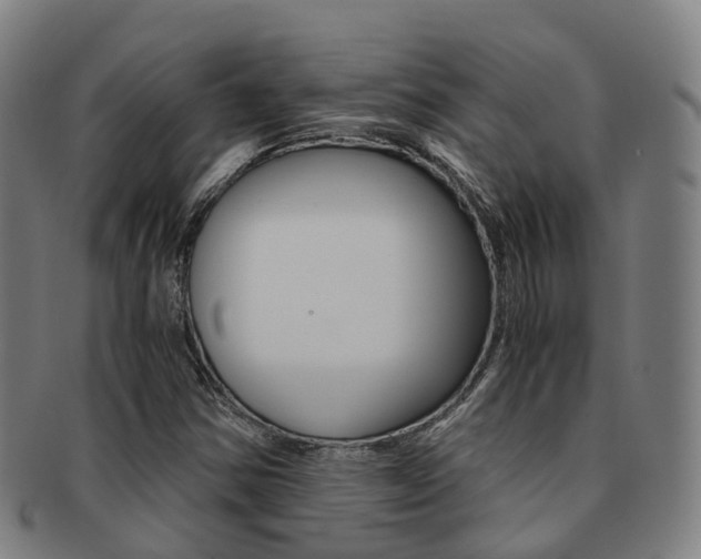 X0000091881354200709051006