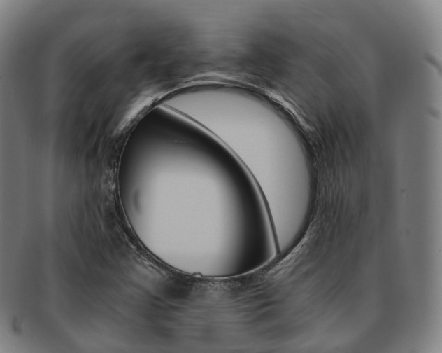 X0000091881355200709051006