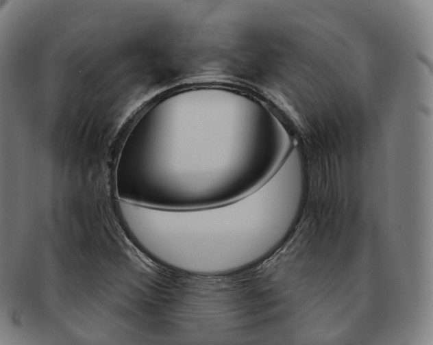 X0000091881356200709051006