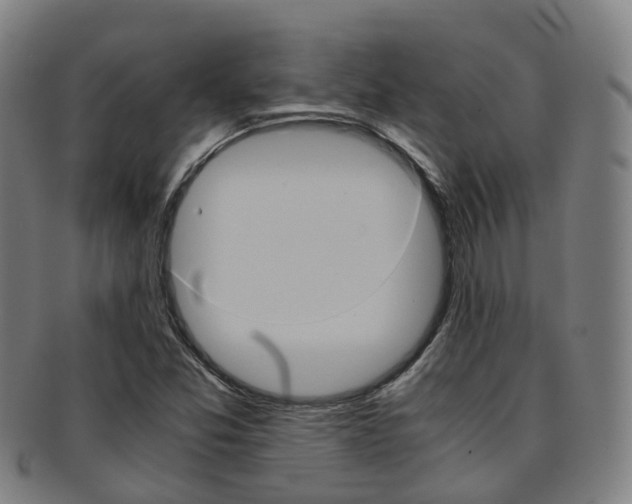 X0000091881357200709051006