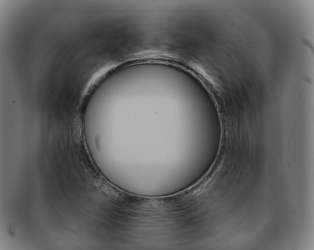 X0000091881358200709051006