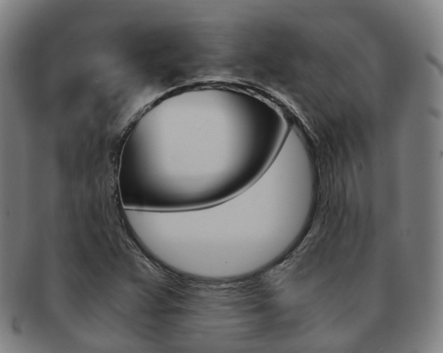 X0000091881359200709051006