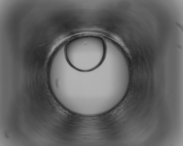 X0000091881360200709051006