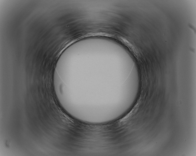 X0000091881361200709051006