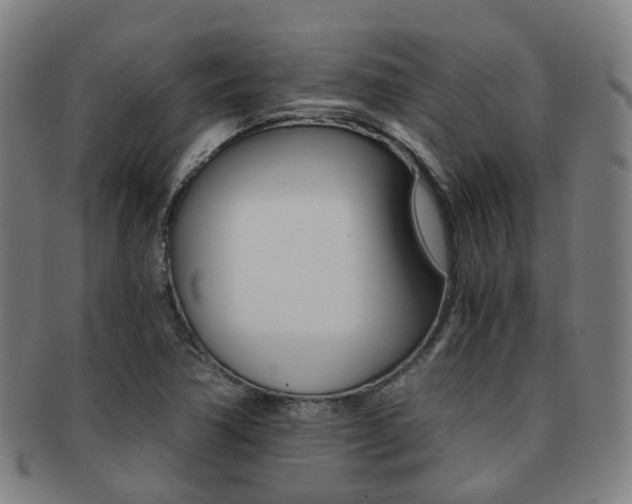 X0000091881362200709051006