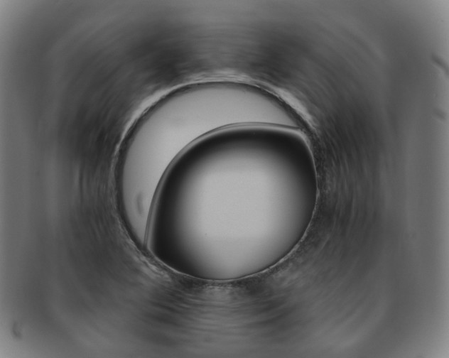 X0000091881364200709051006