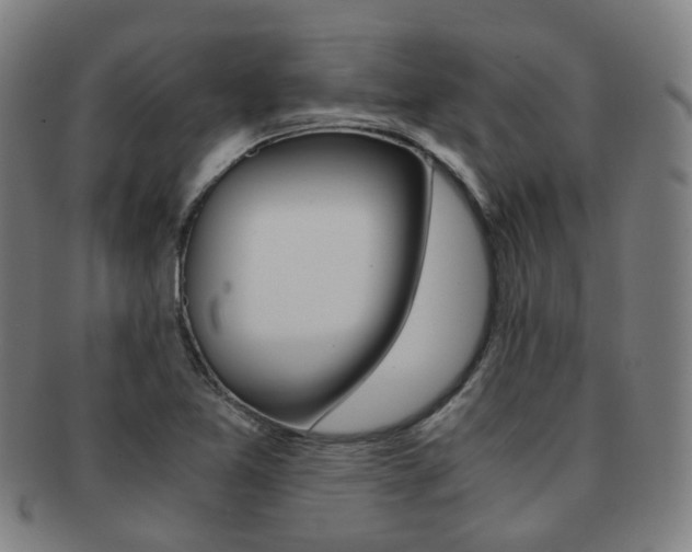 X0000091881365200709051006