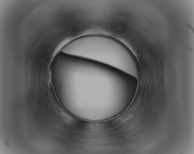 X0000091881366200709051006